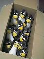 penguins